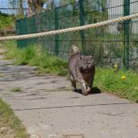 Tierpark… Local Zoo Greifswald Germany