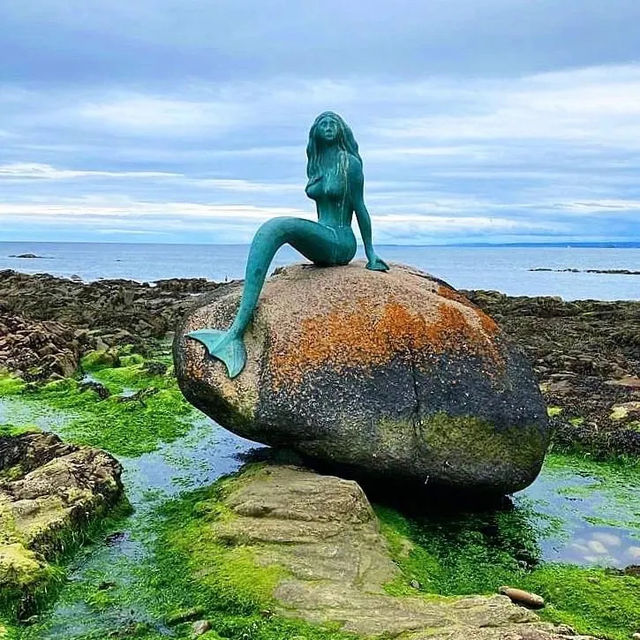 Mermaid of the North 🇬🇧