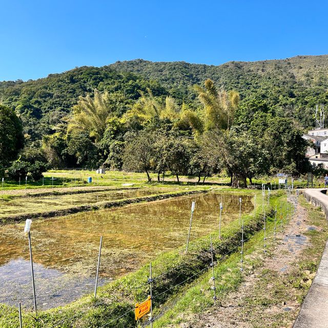 荔枝窩行山推介