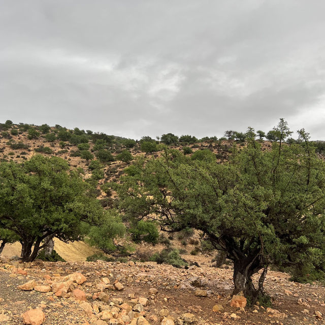 Aourir village, Hike Among the Argan Trees