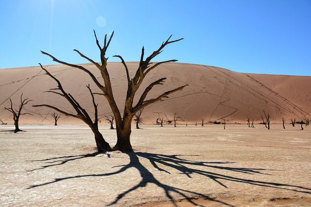 The Whispering Dunes of Namibia's Sossusvlei