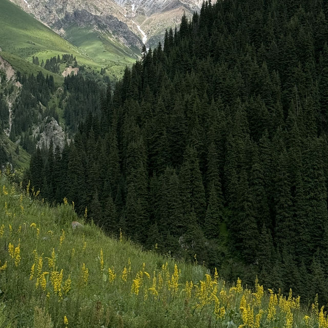 Heaven in Almaty 