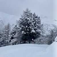 A Gateway to the Silvretta Arena