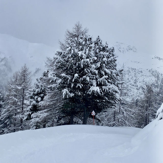 A Gateway to the Silvretta Arena