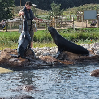 Yorkshire Wildlife park: The perfect family day out