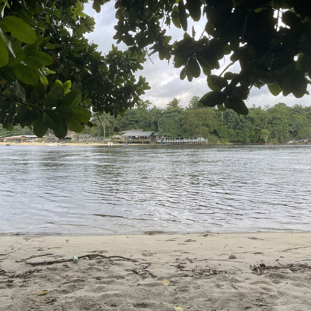 Marvel at the Majestic Chutes de la Lobé 🌊🌴