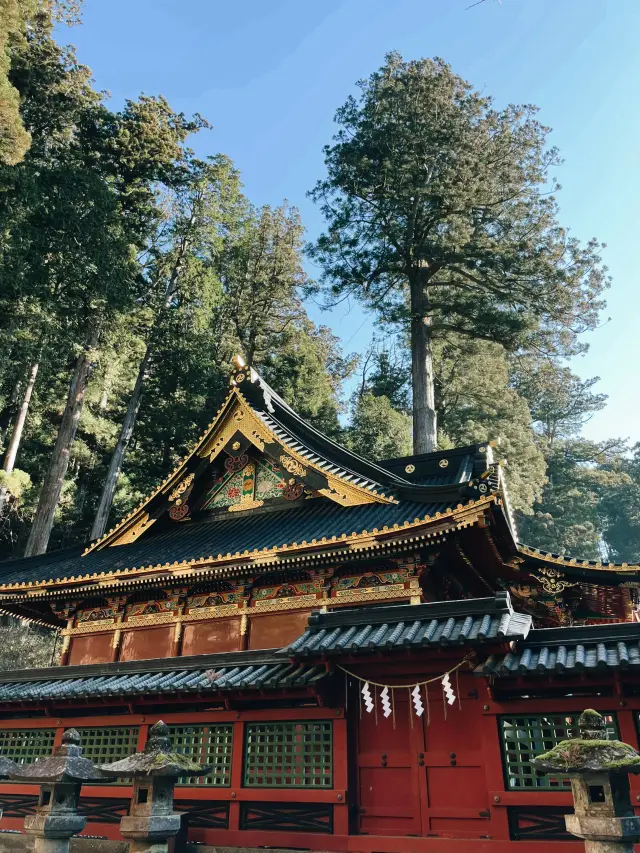 ทริปหนึ่งวันที่สมบูรณ์แบบจากโตเกียวไปนิกโก้