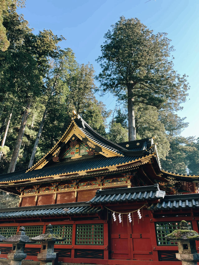 A Perfect Day Trip from Tokyo to Nikko