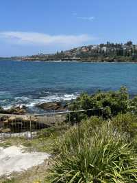 🌊 Coastal Bliss: Hiking from Coogee to Bondi Beach 🥾🏝️