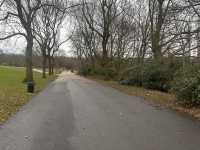 Manchester’s city park