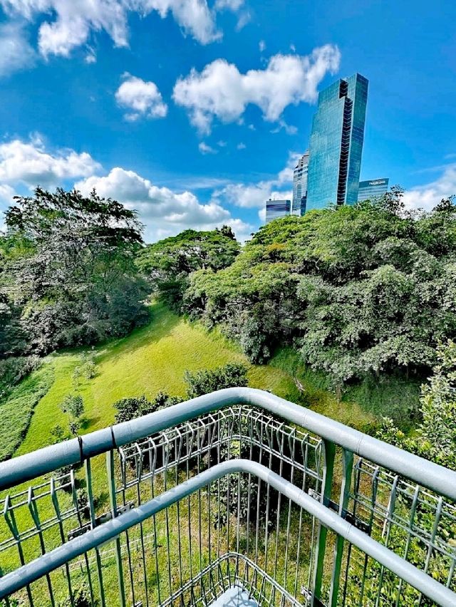 南部山脊
