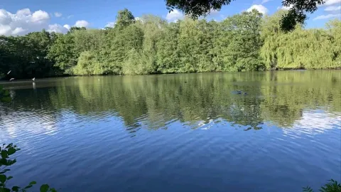 探索英國馬斯頓格林的美景! — traveler post in 索利哈爾