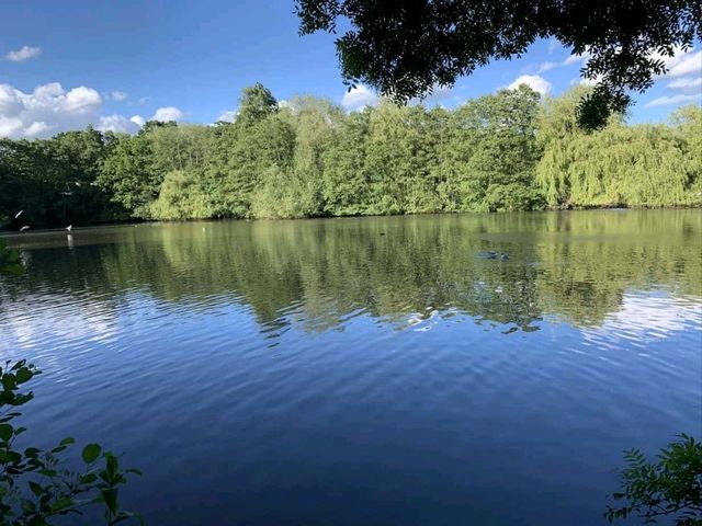 Uncover the beauty of Marston Green, England!
