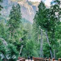 🚗 Getting Around Yosemite National Park – Transportation Tips!