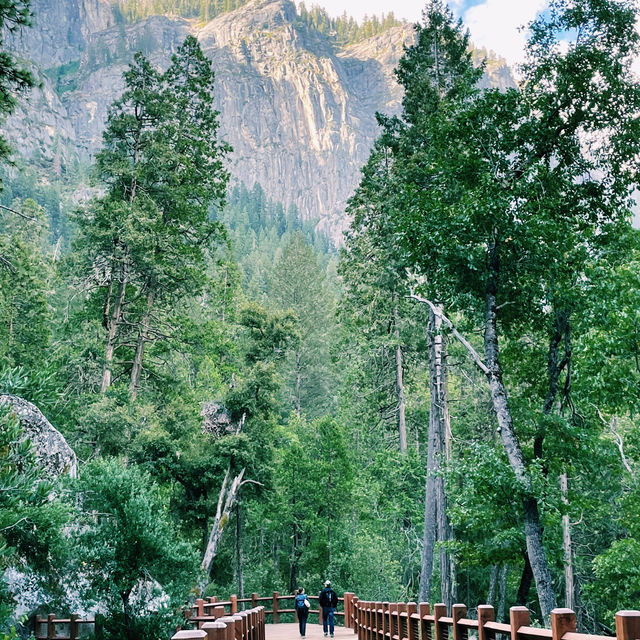🚗 Getting Around Yosemite National Park – Transportation Tips!