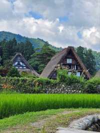 Shirakawa-go: A Timeless Village in the Japanese Alps