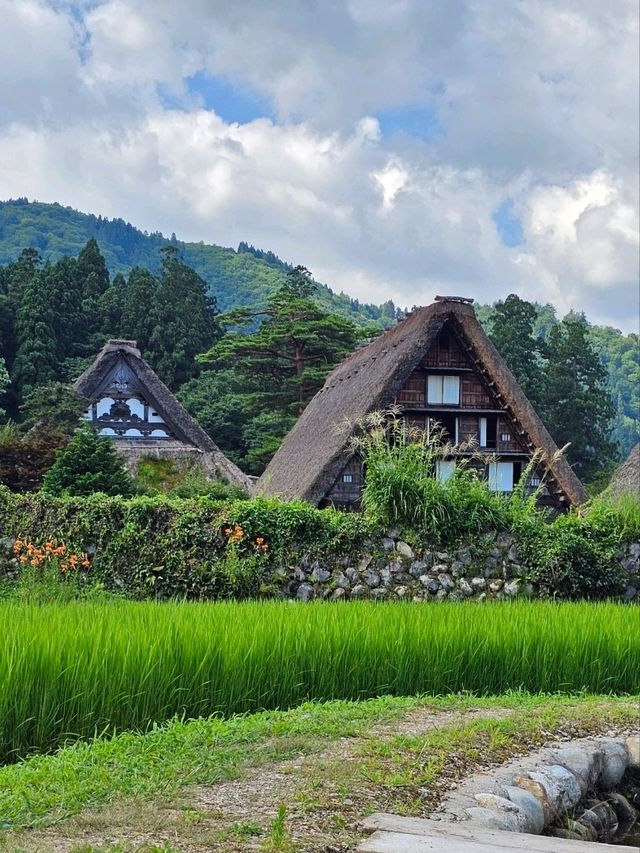 Shirakawa-go: A Timeless Village in the Japanese Alps