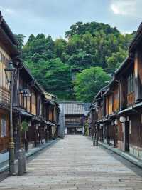 🇯🇵 My Ultimate 3-Week Japan Itinerary: Culture, Nature & City Buzz in One Epic Trip 🌸