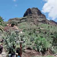 🌋🌴 Budget Summer Escape: Tenerife Without the Big Price Tag! 💰🌞