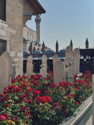 A Spiritual Journey in Konya – Heartfelt