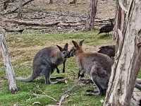 Memorable Sydney CBD outings