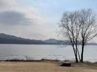 🌾 물안개 피어나는 고요한 풍경, 양평 두물머리 🌅