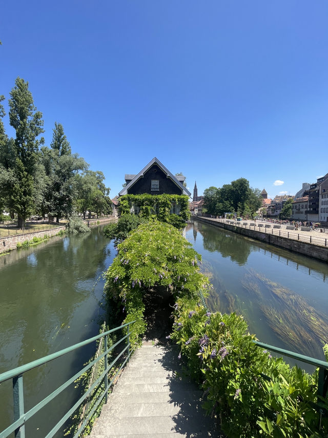 🌸 รีวิว Strasbourg, ฝรั่งเศส 