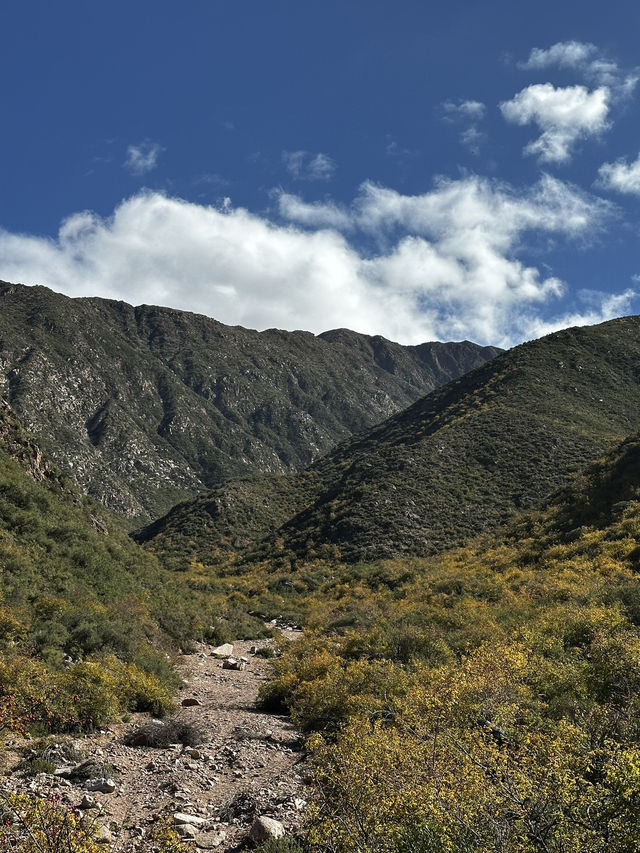 Why Horseback Riding in Mendoza Feels Like Galloping Through the Mediterranean