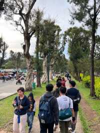 🌲✨ Breathe Easy at Burnham Park — The Heartbeat of Baguio 🚣‍♀️🌼  