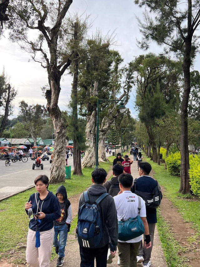 🌲✨ Breathe Easy at Burnham Park — The Heartbeat of Baguio 🚣‍♀️🌼  