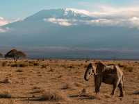 🇹🇿 Mount Kilimanjaro – Tanzania