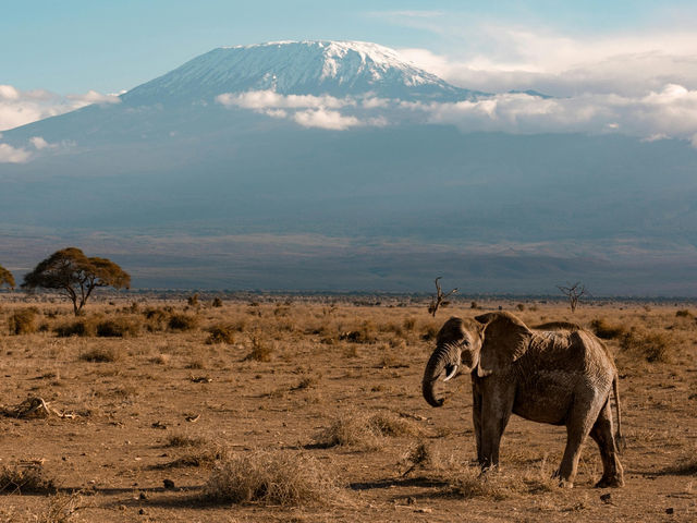 🇹🇿 Mount Kilimanjaro – Tanzania