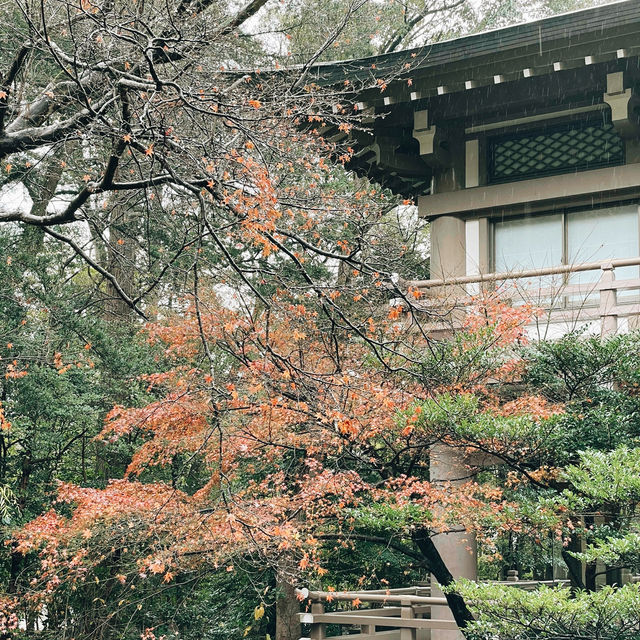 A Zen Escape from Tokyo: Kamakura on a Budget A Zen Escape from Tokyo: Kamakura on a Budget