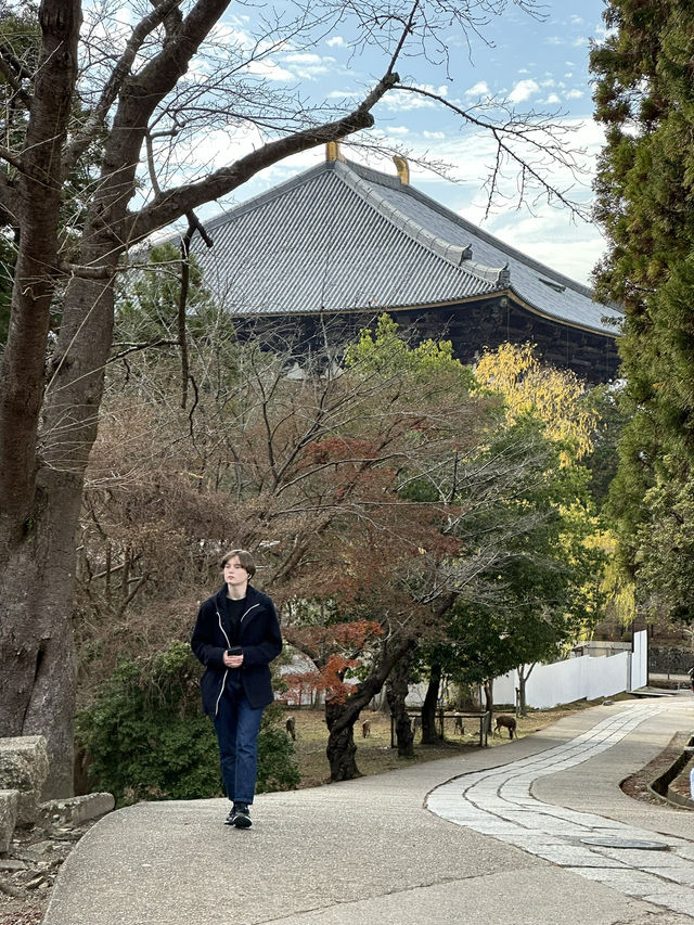 Japan Trip: Get ready to discover the ancient vibes of Nara!