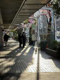 Dreaming of Japan? I show you the iconic Tokyo landscape 
