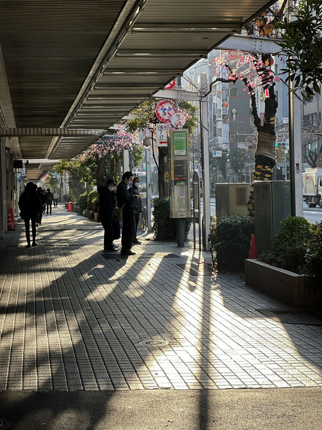 Dreaming of Japan? I show you the iconic Tokyo landscape 