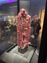 Exploring New York City: American Museum of Natural History & Times Square