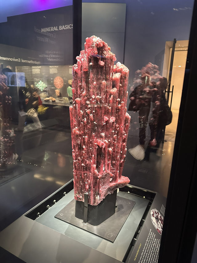 Exploring New York City: American Museum of Natural History & Times Square