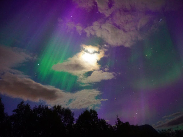Aurora Magic Awaits🌌