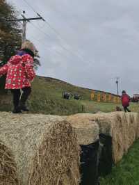 Stouslie Farm Pumpkin Patch, Hawick – A Scenic, Family-Friendly Autumn Adventure