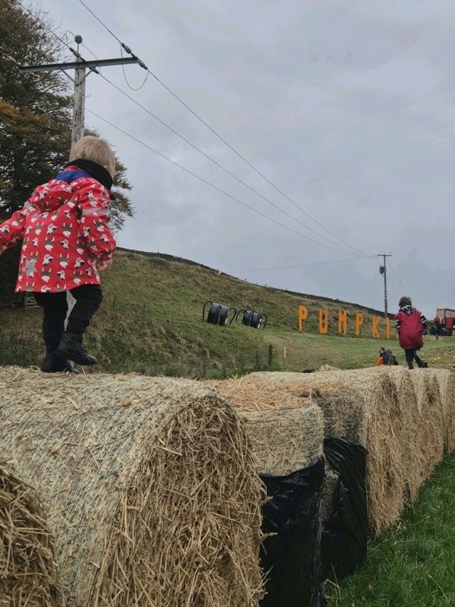 Stouslie Farm Pumpkin Patch, Hawick – A Scenic, Family-Friendly Autumn Adventure