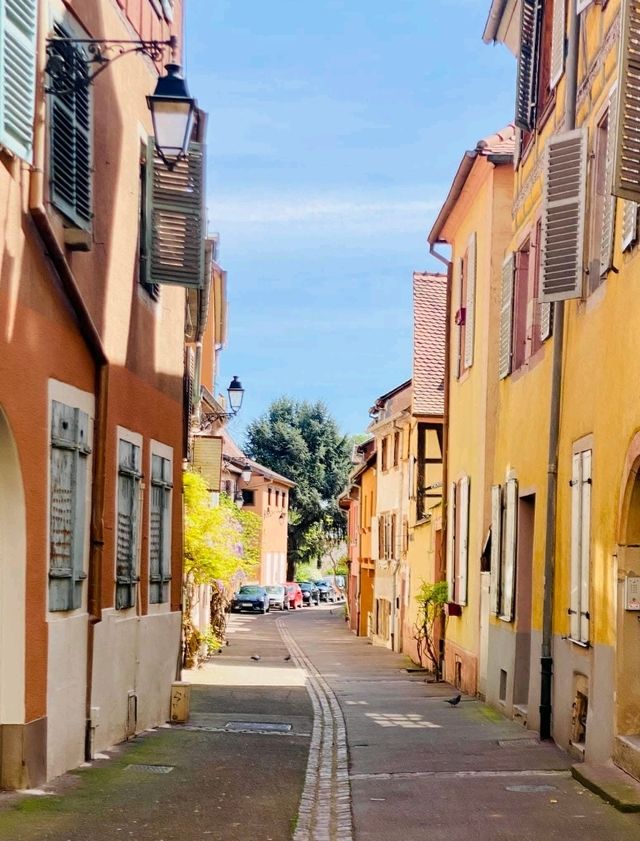 Top Sights in Colmar's Old Town (La Petite Venise & Historic Center) Top Sights in Colmar's Old Town (La Petite Venise & Historic Center)