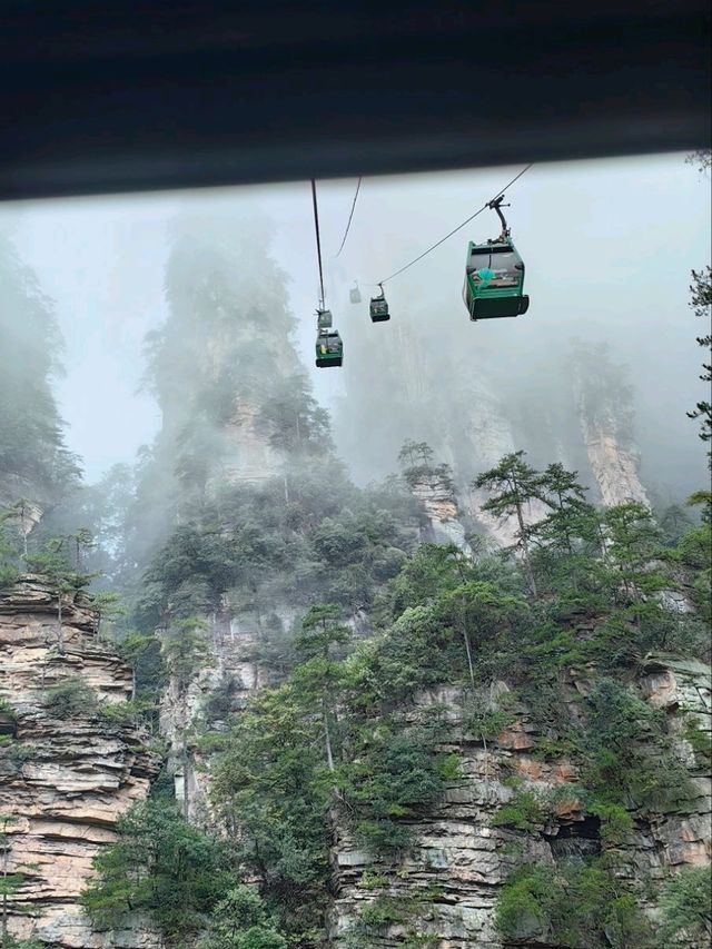 По следам Аватара: 4 дня в Китае