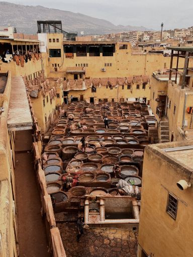 Fes (Fez) Wander Guide🗺️ Morocco 🇲🇦 