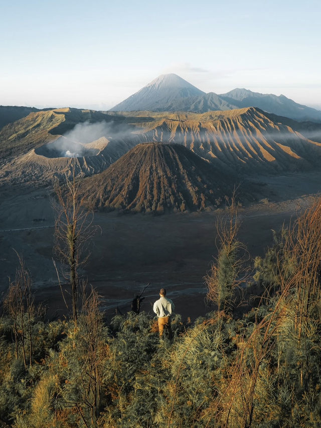 🌋 Java's Epic Heartbeat: Temples, Volcanoes, and Timeless Culture 🌋 Java's Epic Heartbeat: Temples, Volcanoes, and Timeless Culture