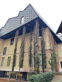 UNIVERSITÄT BASEL — WHERE HISTORY MEETS MINDS THAT SHAPE THE FUTURE 🇨🇭