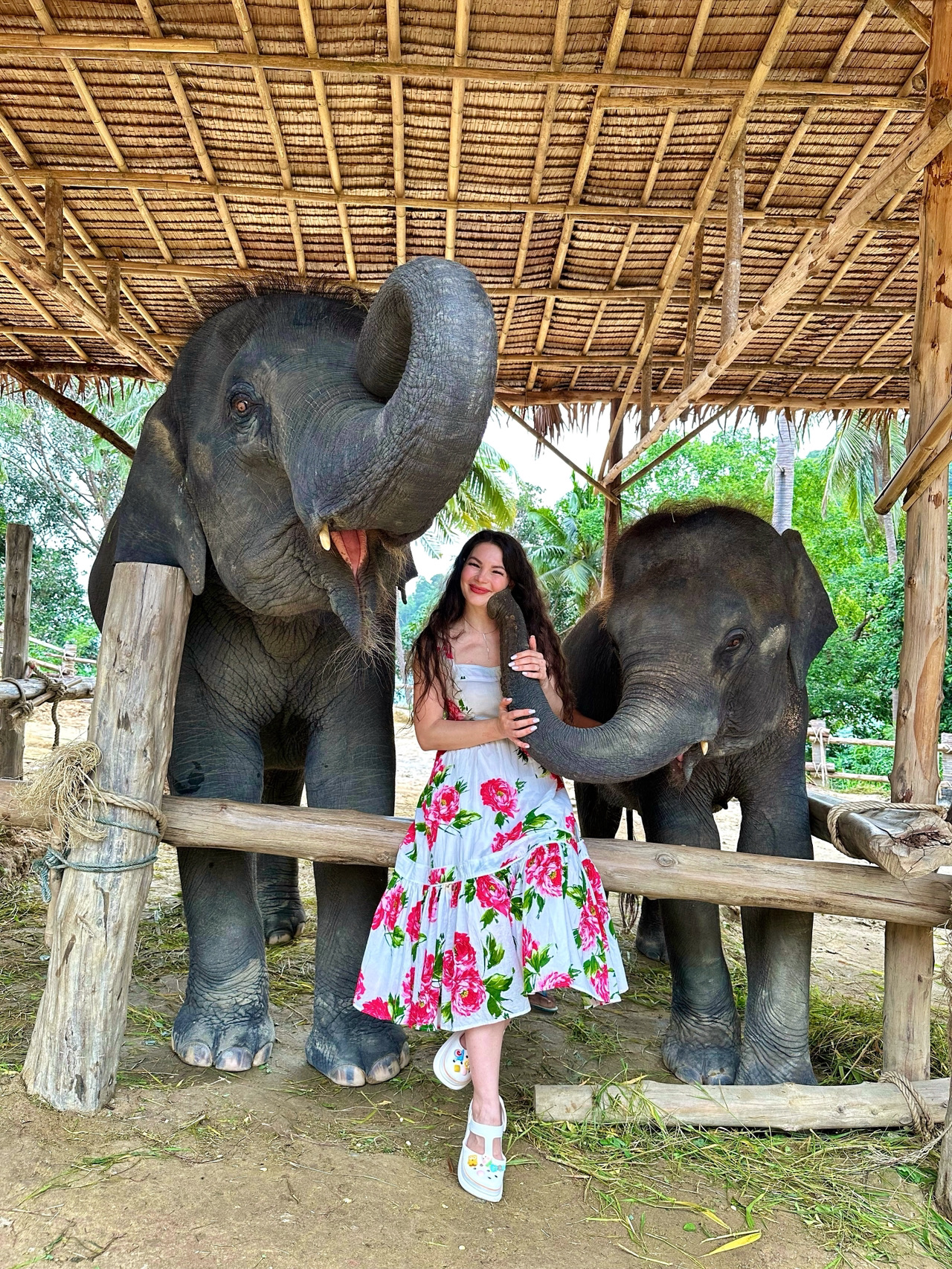Deep in the Phuket jungle, you'll find a breathtaking elephant sanctuary 🐘. For just 1,000 THB, you can not only pet these gentle giants but also feed them to your heart's content. While you do, the sanctuary staff will snap hundreds of gorgeous photos and videos for you to cherish forever 🫶. 
I visited in June during the off-season, and it was the best decision ever since I had the whole place to myself. It probably gets super crowded during peak season. 
I can't recommend this spot enough! Right behind the elephants, there's a gorgeous ocean view that makes for an epic photo op. 

📍99 2, Pa Tong, Kathu District, Phuket 83150, Thailand🐘