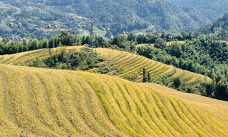 Unforgettable Guilin Adventure: A 4-Day Group Tour with Trip.com
