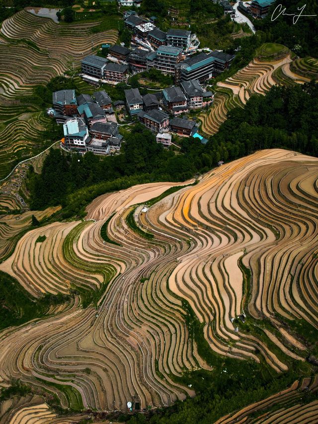 Dragons Backbone Rice Terrace in China 😍