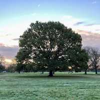 Ealing Common - London